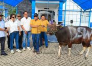 KUPP Bagikan Daging Kurban ke Masyarakat Molawe dan Staf