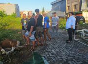 Wakil Ketua Kadin Sultra Yudhianto Mahardika Bagi-bagi Daging Kurban di Hari Raya Idul Adha 1445 H