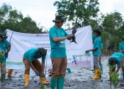 PT Vale Bersama Pemkab Kolaka Tanam Ribuan Bibit Bakau Memperingati Hari Lingkungan Hidup Sedunia