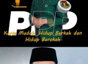Maju Pilwali Kendari, Abdul Rasak Lepas Kursi DPRD Sultra, Digantikan Hj. Harmawati