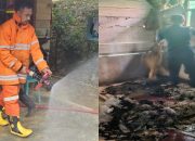 Damkar Kendari Padamkan Kebakaran di Jalan Mekar Baru, Obat Nyamuk Bakar Diduga Jadi Penyebab