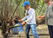 Salak Kebun Raya Kendari: Petani Raih Keuntungan Berkat Pendampingan Dinas Pertanian