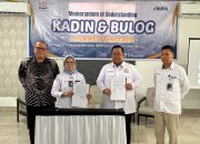 Kadin Sultra dan Bulog Jalin Kerja Sama Kembangkan UMKM Berbasis Rumah Pangan Kita