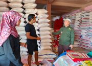 Stok Pangan di Kendari Aman Jelang Ramadan 1446 H, Harga Beras Stabil