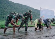 TNI Dukung Penuh Proyek Strategis Nasional PT Vale di Morowali untuk Ketahanan Pangan