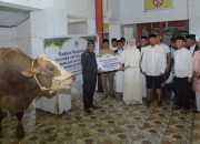 Presiden Prabowo Berkurban Sapi Seberat 873 Kg untuk Warga Kendari