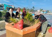 Sambut HUT ke-80 RI, Kwarcab Pramuka Kendari Turun ke Lapangan Bersihkan Sampah di Abeli