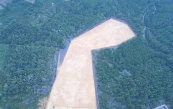 Benarkah Lahan Anduonohu Bisa Dibangun? Mengurai Status APL dan Aturan Mangrove