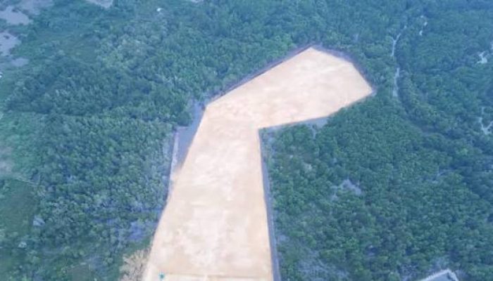 Benarkah Lahan Anduonohu Bisa Dibangun? Mengurai Status APL dan Aturan Mangrove