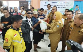Hadapi Ancaman Kemarau Panjang, Dinas Ketapang Kendari Siapkan Cadangan Pangan dan Distribusi Bibit Cabai