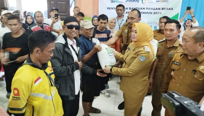 Hadapi Ancaman Kemarau Panjang, Dinas Ketapang Kendari Siapkan Cadangan Pangan dan Distribusi Bibit Cabai