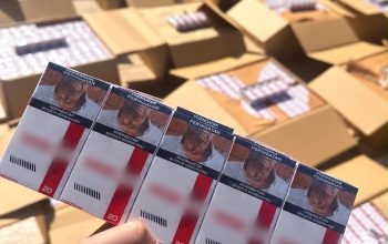 Rokok Ilegal Masuk Sultra Lewat Ekspedisi hingga Pelabuhan, 838 Ribu Batang Diamankan