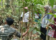 Gandeng Pakar INSTIPER Yogyakarta, Kebun Raya UHO Tingkatkan Kapasitas Analisis Karbon bagi Mahasiswa dan Dosen