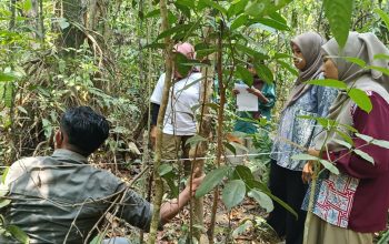 Gandeng Pakar INSTIPER Yogyakarta, Kebun Raya UHO Tingkatkan Kapasitas Analisis Karbon bagi Mahasiswa dan Dosen